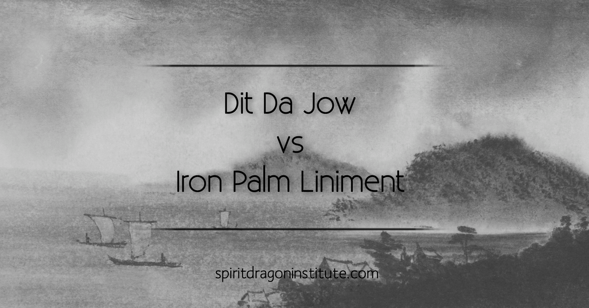 Dit Da Jow vs Iron Palm Liniment
