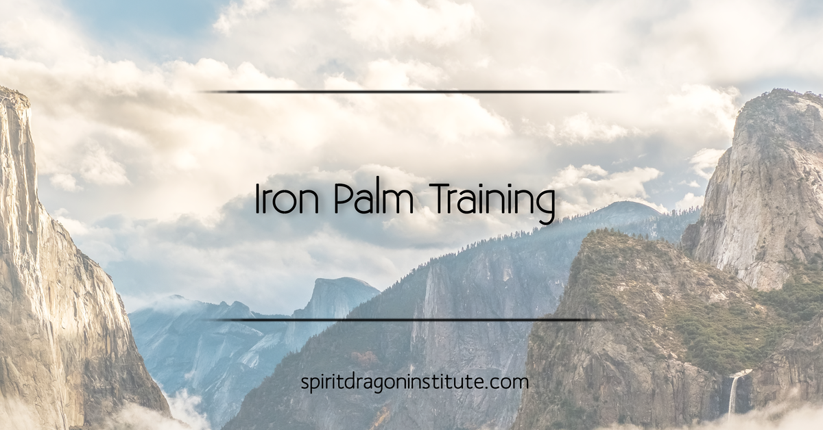 Iron Palm Training