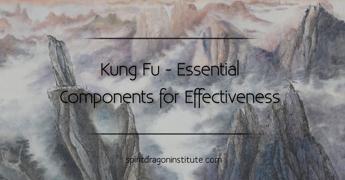 Kung Fu - Essential Components for Effectiveness