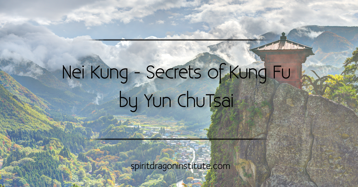 Nei Kung - Secrets of Kung Fu by Yuan Chu Tsai