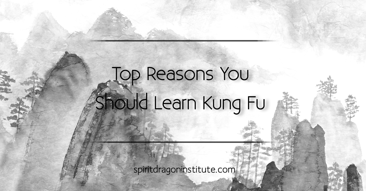 Top Reasons Why You Should Learn Kung Fu
