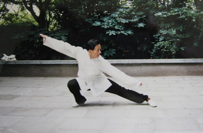 Master Gong ZhongXiang - Low Stance