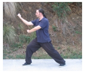 Kung Fu Basics